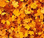 Завтра в Астрахани похолодает