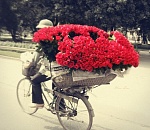 Группа астраханских велосипедистов подарит горожанкам 8 марта цветы 