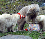 Интрига! "ЕР" разослало журналистам письмо с "итогами выборов"