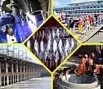 Астрахань. Итоги апреля-2025. Жизнь без воблы