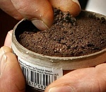 В Астрахань не пропустили шведский жевательный табак на миллион рублей