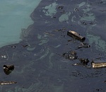 Экологическую катастрофу устроили под Астраханью черные металлоискатели