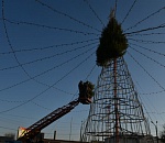 На разворотном кольце Мостроя ставят живую ель. Как всегда самую красивую и грандиозную