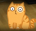 Рыжий кот стал соучастником преступления в Астрахани