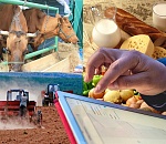 Астраханские фермеры могут получить гранты