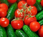 На огурцы и помидоры в Астраханской области снизились цены