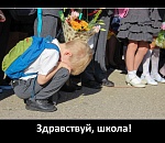 В ближайшие годы нам обещают стройку века - 25 школ до 2025 года