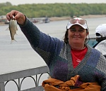 В Астраханской области начался ход воблы, но ловить ее нельзя