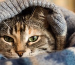 Астраханцев ждет теплое воскресенье