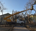 На Лебедином озере в Астрахани снова пилят деревья