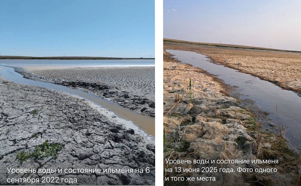 Воды в засыхающих астраханских ильменях еле хватает на жизнь 