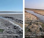 Воды в засыхающих астраханских ильменях еле хватает на жизнь 