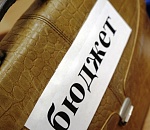 Доходы регионального бюджета превысили расходы. Профицит