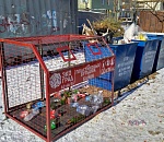 В Астрахани работает проект по раздельному сбору мусора (ОБНОВЛЕНО)