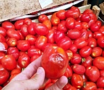 В Астрахани двух работников торговой фирмы ждет суд о коммерческом подкупе