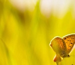 Астраханцев ждет теплая солнечная пятница