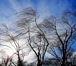 На завтра в Астрахани объявлено штормовое предупреждение