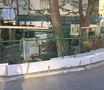 Астраханка создала петицию против кошачьего притона