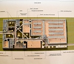 Собачий приют в Астрахани обещают построить к выборам