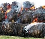 В астраханском селе  дельтовой зоны Волги умышленно сожгли 30 рулонов сена