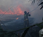 В Астраханской области введён особый противопожарный режим