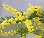 На этой неделе астраханцев ждут длинные выходные