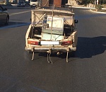 Фото (и видео) дня: я маленькая лошадка...