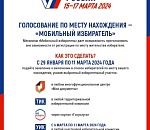 Как проголосовать на выборах президента, если в эти дни вы будете далеко от дома