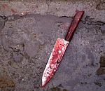 Пожилой ревнивец, зарезавший 27-летнюю подругу, получил 10 лет строгача