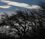 В Астраханской области буйный ветер и гололедица