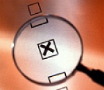 САРЫЧЕВУ ОТКАЗАНО В РЕГИСТРАЦИИ.