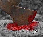 Работник зарубил главу крестьянско-фермерского хозяйства под Астраханью