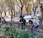 День чистоты вывел астраханский муниципальный аппарат из кабинетов на уличные работы