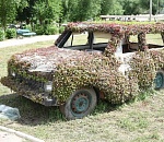 В Астрахани Аллея Воинской славы подверглась атаке вандалов