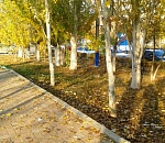 На севере Астраханской области температура начинает падать