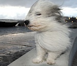 Завтра в Астрахани будет тепло, но ветрено  