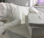 Астраханцы выбирают место для памятника бездомной собаке