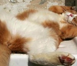 В среду температура в Астрахани немного не дотянет до 40-градусной отметки