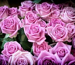 Жительница Астраханской области отметила вековой юбилей