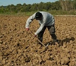 Астраханцев зовут поработать на свежем воздухе за приличные деньги