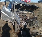 Под Астраханью корова стали причиной ДТП, в котором пострадали два человека