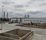 Под Астраханью строят томатный завод с умными теплицами