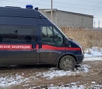 Свора собак насмерть загрызла астраханца 