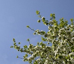 Плюс 30 и выше: какая погода ждет астраханцев в мае