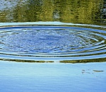 В Астраханской области утонула 9-летняя девочка