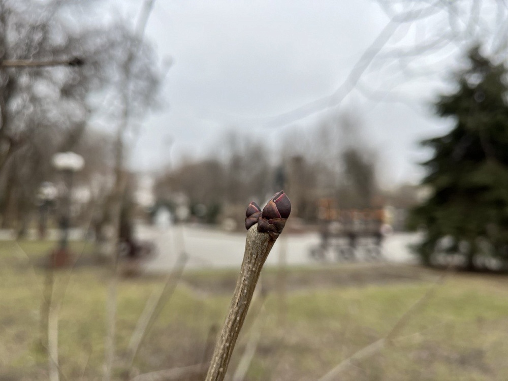 Завтра погода в Астраханской области будет капризной