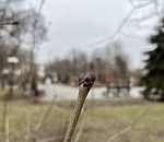 Завтра погода в Астраханской области будет капризной