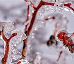 В первый день февраля в Астрахани немного похолодает