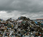 В Астрахани организация, вывозящая мусор, забила на свою работу