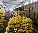 В Астрахань прибыли первые продовольственные рефрижераторы из Ирана 